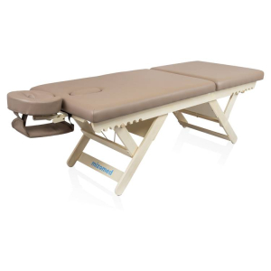 Массажный стол стационарный Mizomed Boast-Tilt SBT1S30