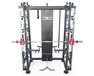 Мультистанция, машина Смита DFC Gorilla Sport 822